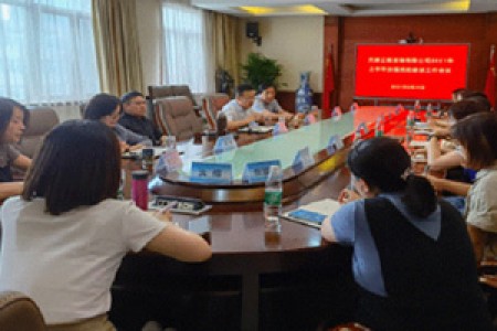 發揮黨建引領作用，推動“四責協同”落地 - 天咨公司召開2021年黨建工作中期推動會